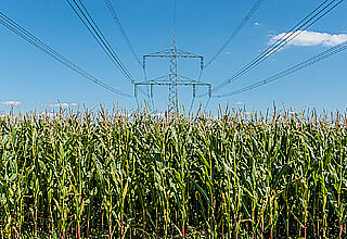 Drop-in Kraftstoff aus Biomasse und elektrischer Energie. Fotoquelle: UFZ / André Künzelmann