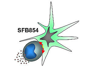 Logo SFB854
