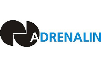 Detailbild zu :  Adrenalin - Advanced Fractal Companies Use Information Supply Chain