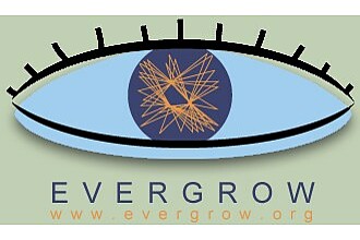 Detailbild zu :  EVERGROW: Ever-growing global scale-free networks, their provisioning, repair and unique functions.
