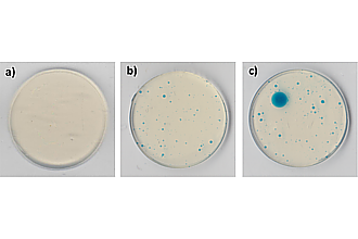 Detailbild zu :  KorroPad