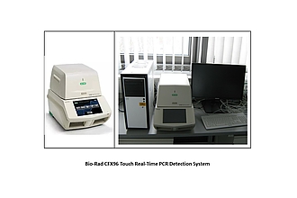 Detailbild zu :  Bio-Rad CFX96 Touch Real-Time PCR Detection System