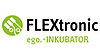 FLEXtronic
