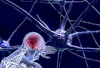 Neurowissenschaft öffnet Blackbox der künstlichen Intelligenz