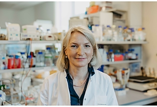 Portrait von Prof. Dr. rer. nat. Monika Brunner-Weinzierl, Leiterin der Experimentellen Pädiatrie und Neonatologie (EXPAE) der Universitätskinderklinik der Otto-von-Guericke-Universität Magdeburg. Fotografin: Jana Dünnhaupt/Universität Magdeburg