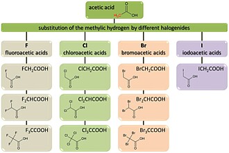 Detailbild zu :  Substituierte Acetate und Acetathydrate - Synthese und Eigenschaften - Einsatz in bauchemischen Produkten
