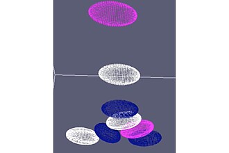 Sedimentation of ellipsoids in water