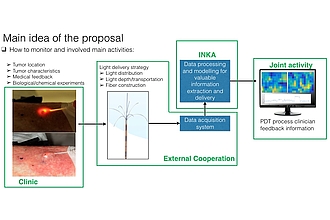 Phtodynamic Therapy -- principles and project ideas