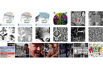 Detailbild zu :  Das studyforrest.org Projekt