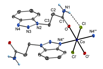 Detailbild zu :  Koordinationschemie des Acrylamids und N-Pyrazolylpropanamids