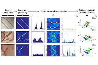 Detailbild zu :  Automated Vessel Pattern Characterization of Larynx Contact Endoscopy Images
