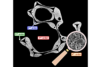 Hohlstege und Längsrisse bilden neben den eigentlichen Zellporen die Porosität in zellularen Keramiken (µ-CT-Schnittbild)