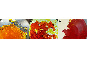 Kristalle von Lithium-, Natrium- und Kalium-Diazadien-Komplexen