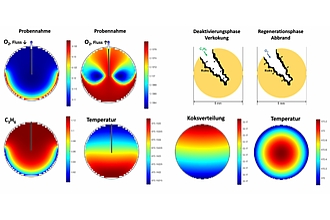 Simulation der dynamischen, intrapartikulären Konzentrations-/Temperaturprofile (links) und Veränderung des Porensystems und damit der Katalysatorleistung in der Verkokungs-/Regenerationsphasen (rechts) einschließlich Koksverteilung bzw. Regenerationstemperatur