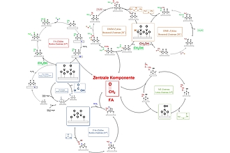 Gekoppelte Kat-Zyklen