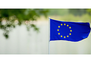 Detailbild zu :  InterGrad-EGD - Einrichtung einer Internationalen Graduiertenakademie zu Themen des European Green Deal