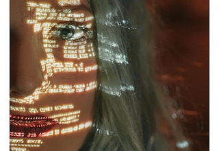 Detailbild zu :  iDiv Flexpool Project PrioDiv: Prioritising biodiversity in decision-making: understanding information processing in the context of multiple crises and dynamic data using experiments and text analysis