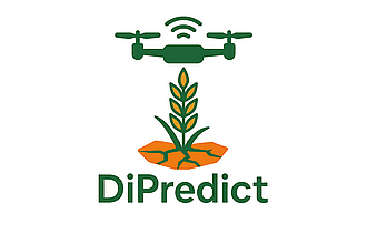 Detailbild zu :  DiPredict - KI-basierte Optimierung der Selektion unter Trockenstress in der Weizenzüchtung