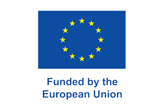 A Marie Skłodowska-Curie Action (MSCA) Training & Mobility Actions (TMA) Doctoral Network (DN) within the Horizon Europe Programme of the European Commission. This project has received funding from the European Union under Grant Agreement No 101119806.