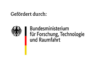 Detailbild zu :  Gehirn-inspirierte Nutzung effizienter Shortcuts in der Künstlichen Intelligenz (BRAINS) – Teilprojekt Validierung der Hypothese zum Gewohnheitslernen