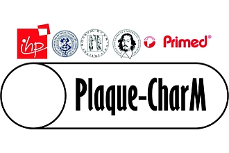 Detailbild zu :  Plaque-Charakterisierung mittels mm-Wellen auf einem Katheter (PlaqueCharM) - Teilvorhaben Systemintegration des Sensorchips