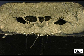Vakuolen in einem spritzgegossenen POM-Bauteil im Bereich großer Wandstärken – Bauteilquerschnitt