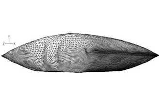Detailbild zu :  Strömungseinfluss auf Zellkultivierung und Virusausbeute in Bioreaktoren