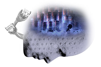 brain and algorithms