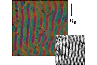 Elektrokonvektionsmuster unter gekreuzten Polarisatoren und Phasenplatte, Bildbreite 0.355 mm 
