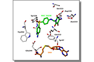 PRMT1 Inhibitor Allantodapsone (grün)  in der PRMT1 Bindungstasche