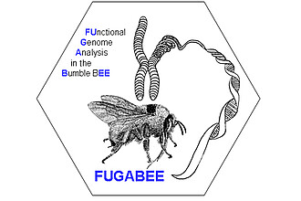 FUGABEE Logo