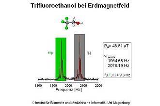 Erdmagnetfeld-NMR-Spektrum