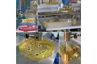 Detailbild zu :  BioHandling: Automatisches Kolonie-Picking und Probenvorbereitung in der Mikrobiologie
