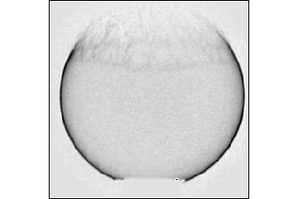 Momentaufnahme des Zerreißen eines sphärischen smektischen Films, ca 10 mm Durchmesser 
