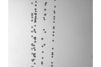 Verdampfende Hexan-Tröpfchen