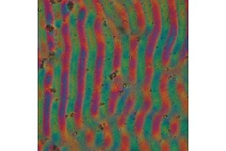 Detailbild zu :  Subharmonische Dynamik in periodisch getriebenen Systemen