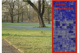 Image with a transparent watermark and its visualization